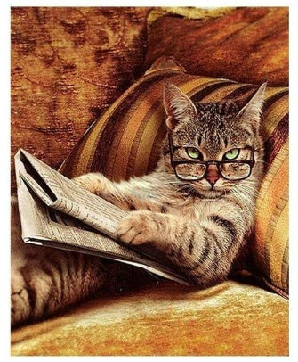 Professor Mortimer Mjau - Paint by Number 🐈📚